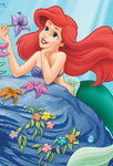 Ariel sur son rocher