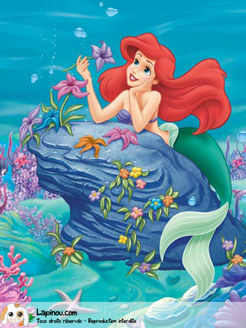 Ariel avec une fleur