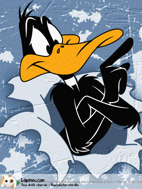 Portrait de Daffy Duck