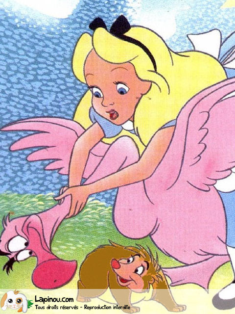 Alice avec un flamant rose