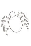 Gentille araignée