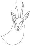 Tête de gazelle