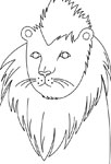 Lion de face