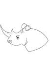 Tête de rhinocéros