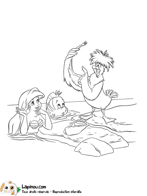 Ariel, Polochon et un oiseau