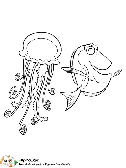 Poisson et méduse