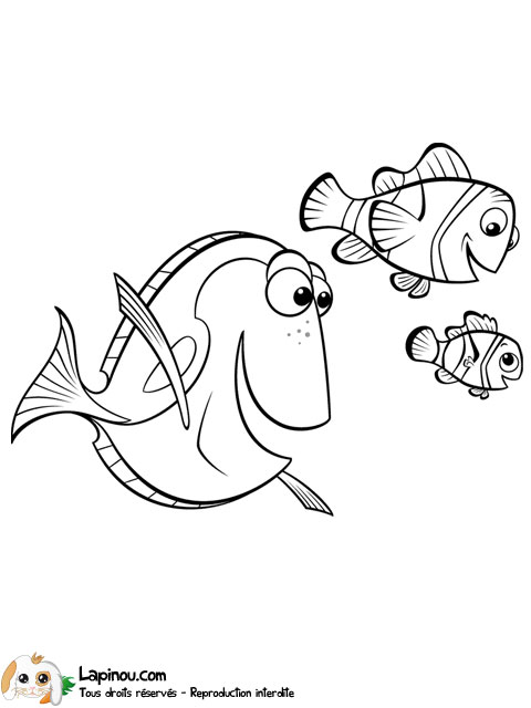 Nemo et ses amis