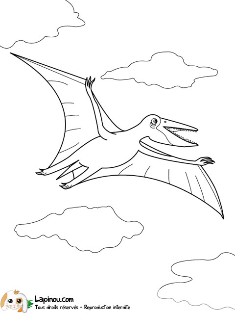 Ptérodactyle en vol