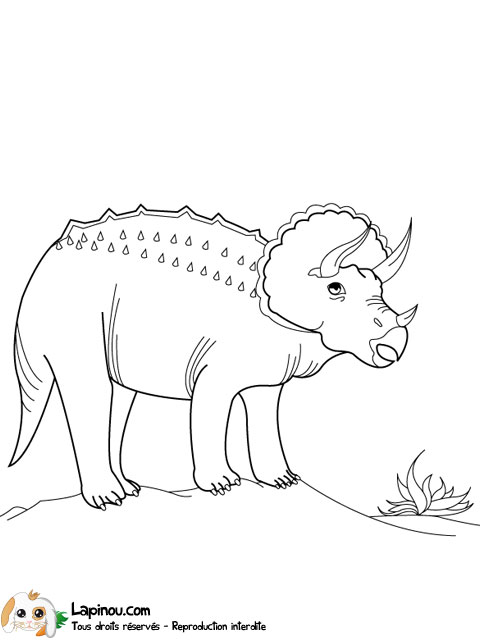 Tricératops affamé