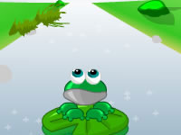Des moucherons pour Froggy