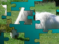 Puzzle de chevaux dans le pré