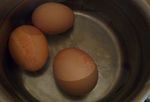 Etape 1 : Les œufs
