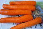 Etape 1 : Les carottes