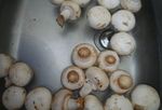 Etape 1 : Les champignons