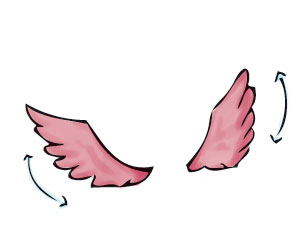 Des ailes d'oiseaux