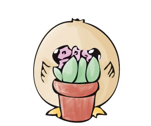 Pâluchon derrière le pot de fleurs