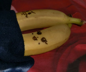 Monsieur et Madame banane qui dorment
