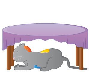 Grigri sous la table